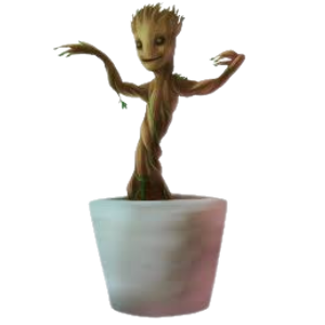 Groot