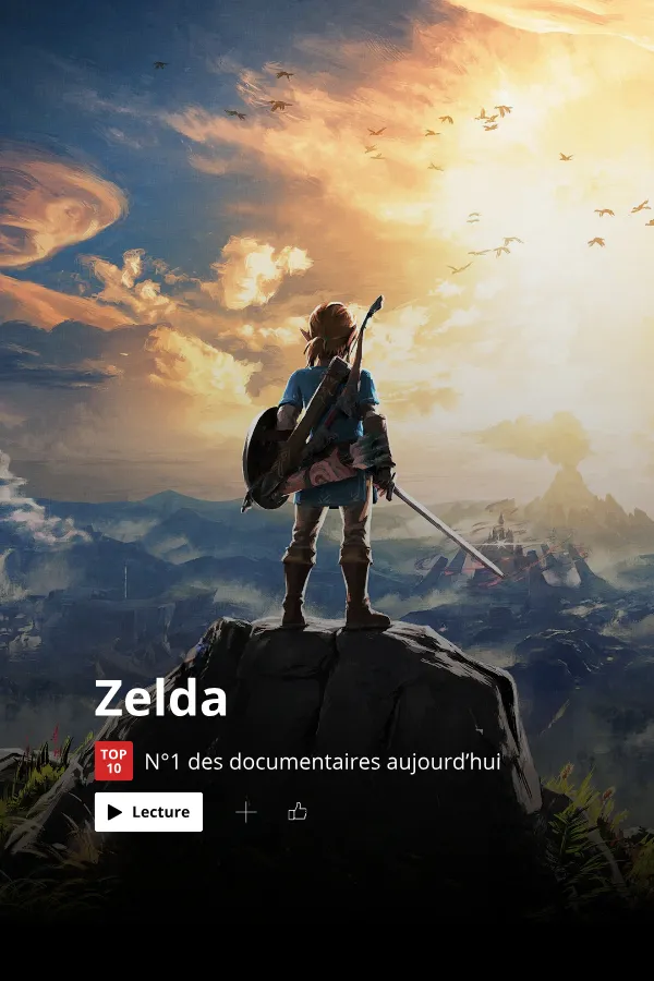 Affiche Zelda : Les 5 niveaux de l'investisseur